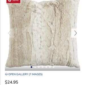 2 Pier 1 Throw Pillows, Gently used
